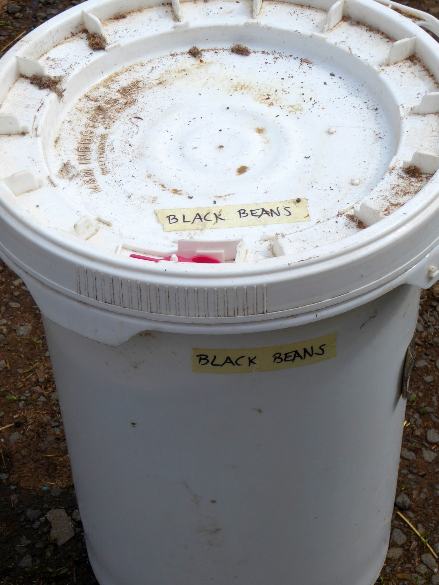 How Long Do Dry Beans Last? Countryside